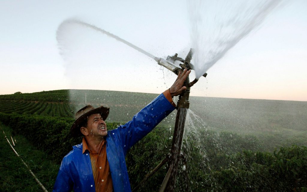 灌漑システムを調整するブラジルのコーヒー生産者、マルシオ・ディオゴ。